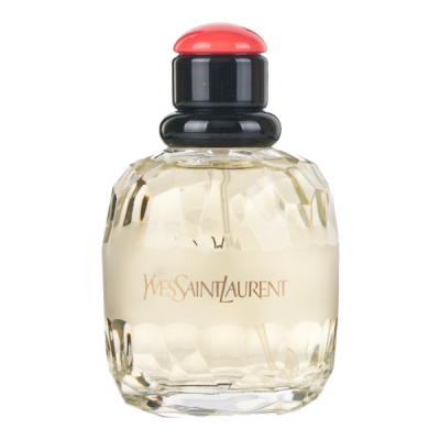 YSL Paris