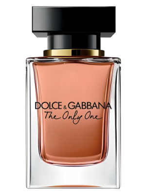 Dolce & Gabbana THE ONLY ONE