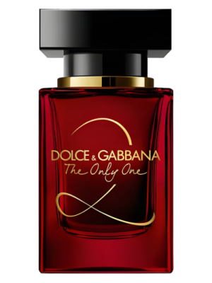 Dolce & Gabbana THE ONLY ONE
