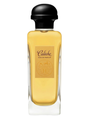 Hermes Caleche SOIE de